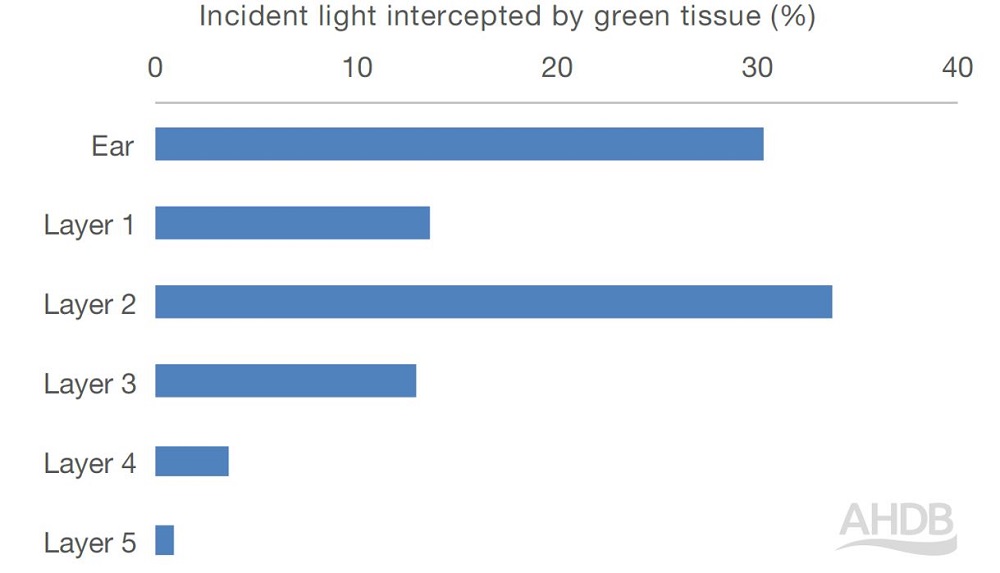 Graph showing how green tissue intercepts light in spring barley